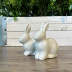 Bullseye Bunny Salt & Pepper Shakers